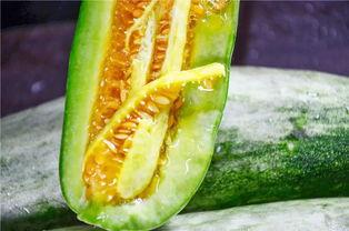 网红吃瓜网站网