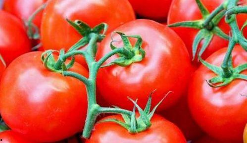 蕃茄吃瓜网,揭秘美食背后的趣味故事