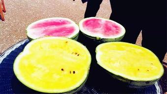 网爆最新吃瓜视频,揭秘娱乐圈惊人内幕！